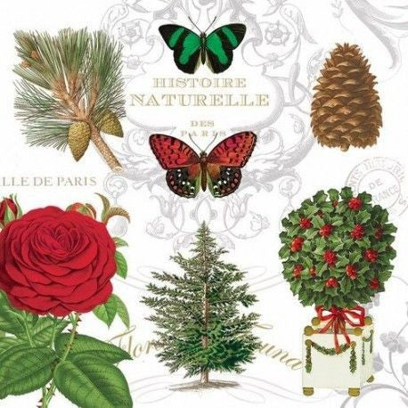 8d4e2356c962b6d381287b55279296fb