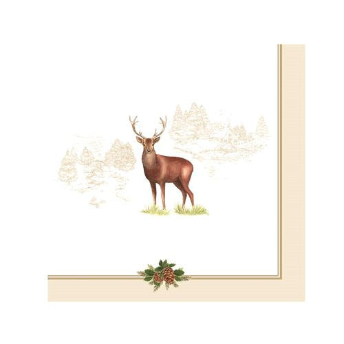 82d5bbf9c6b60026ee422653ded117da