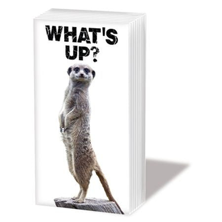 6172990299882948b8fb8beca235d2b8