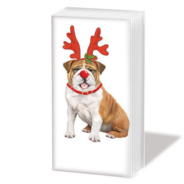 3d0587471996e70efb4044a57aa1f1ba